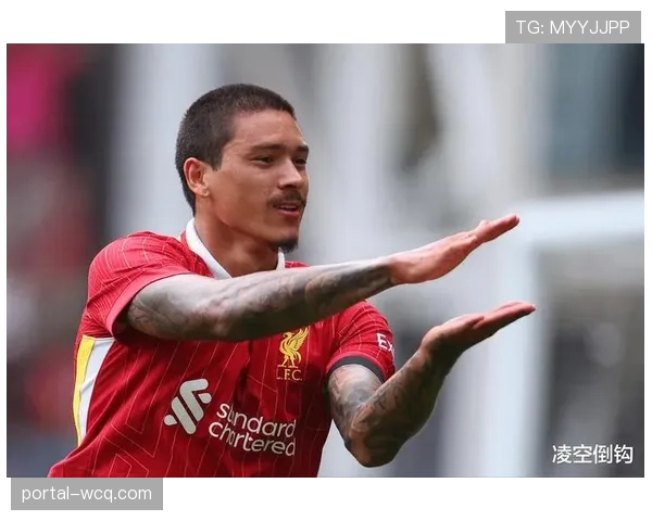 努涅斯恢复合练，利物浦锋线预期进球数据有望提升